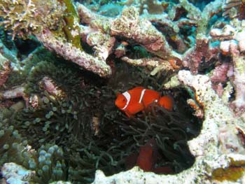 P7210546