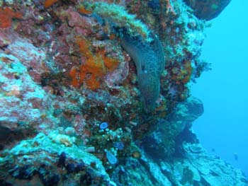 P7220575