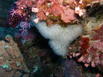 P7220597