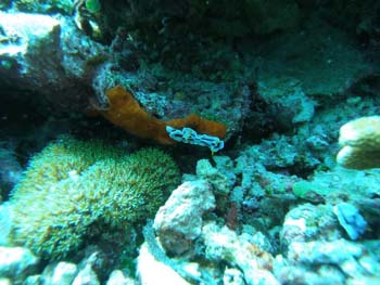 P7220662