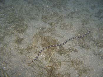 P7220682
