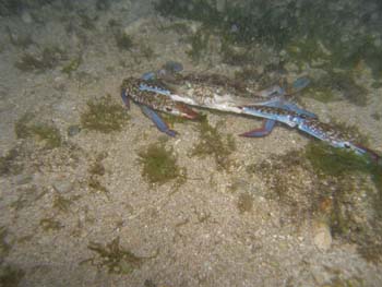 P7220694