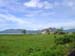 DSC00295