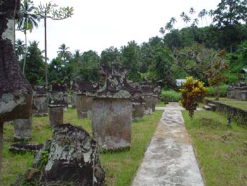 DSC00524